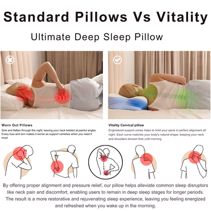 Cervical, Migraine & Sleep Apnea Pillow