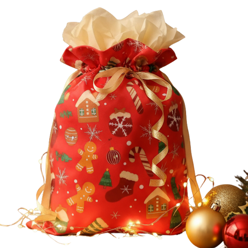 Present Your Gift Beautifully in Our Christmas Gift Bag