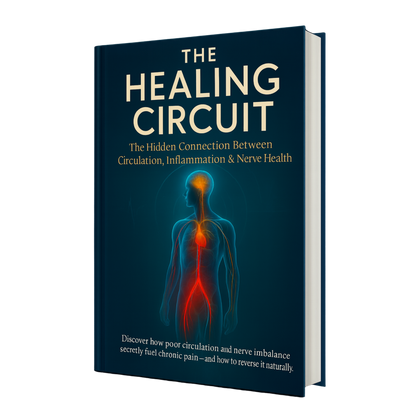 The Healing Circuit: How Circulation, Nerve Health & the Vagus System Control Pain, Energy, and Longevity
