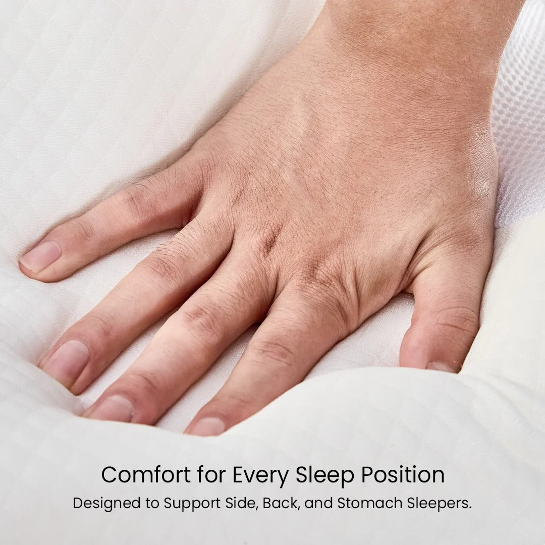 Cervical & Migraine Pillow - Family Pack